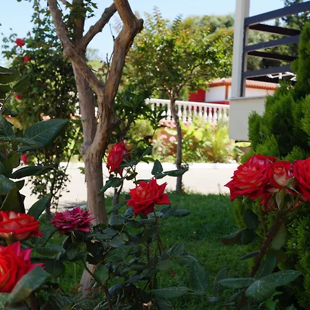 Brati - Arcoudi Hotel Arkoudi