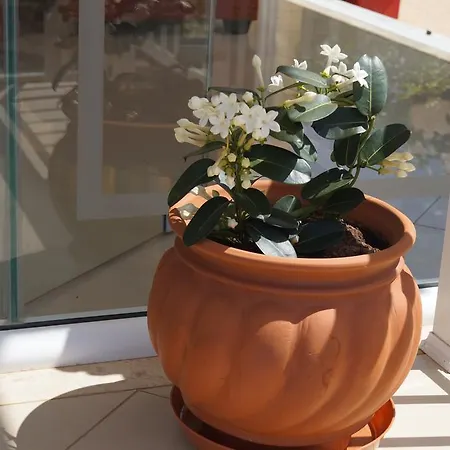 Hotel Brati - Arcoudi 2*