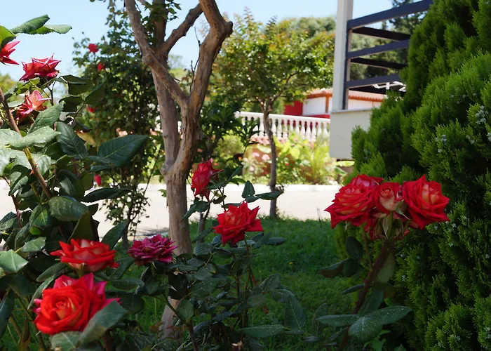 Brati - Arcoudi Otel Arkoudi