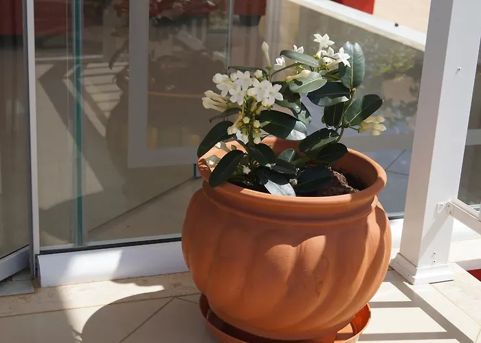 Otel Brati - Arcoudi 2*